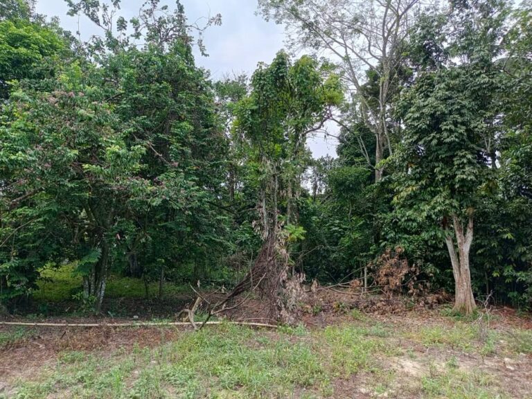 Tanah untuk dijual di Batu 20 Kuang, Selangor