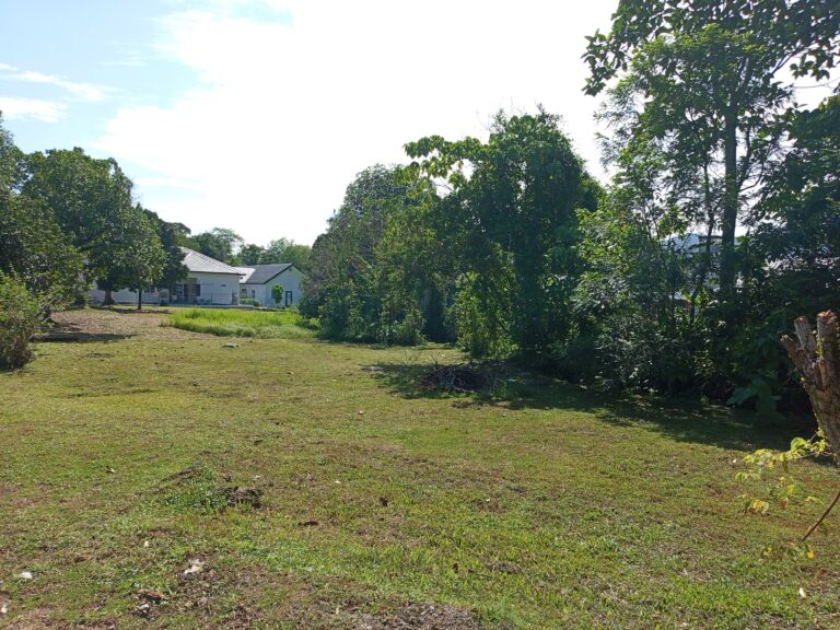 Sebahagian Lot Tanah di Kampung Batu 20 Kuang Selangor